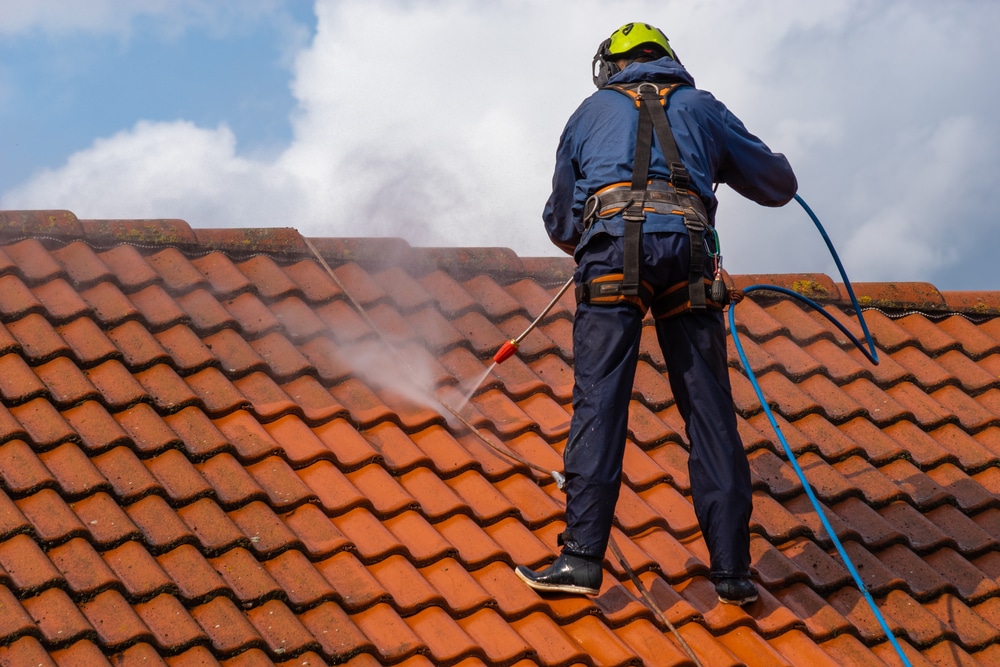 pros cons professional roof cleaning